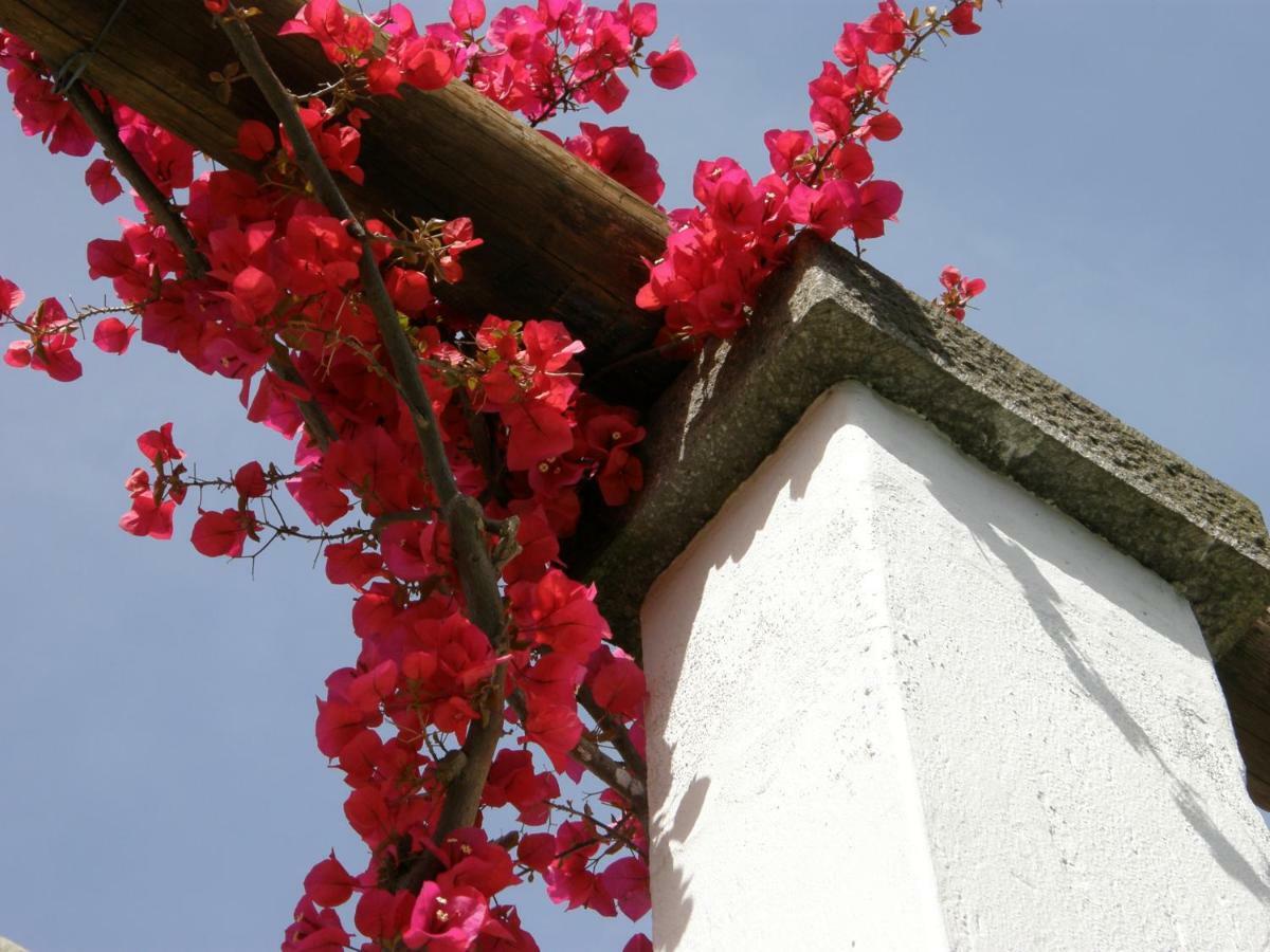 Hotel Villa Angelica Lacco Ameno  ภายนอก รูปภาพ